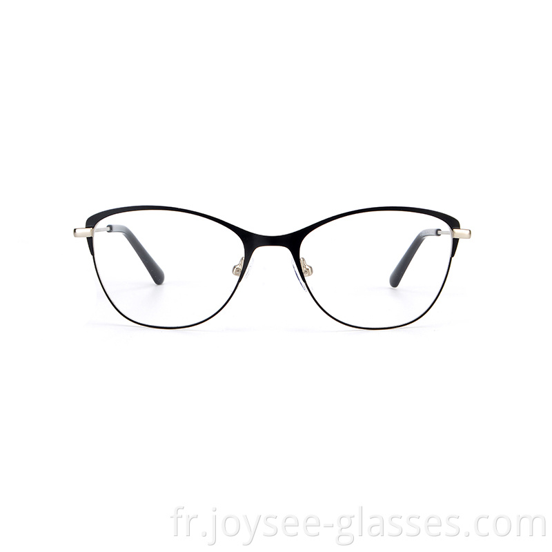 Two Tones Metal Eyeglasses 1